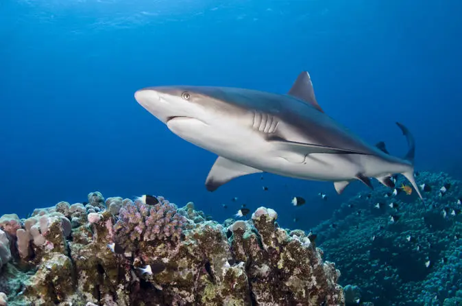 5 Hawaii for Adventure Seekers
