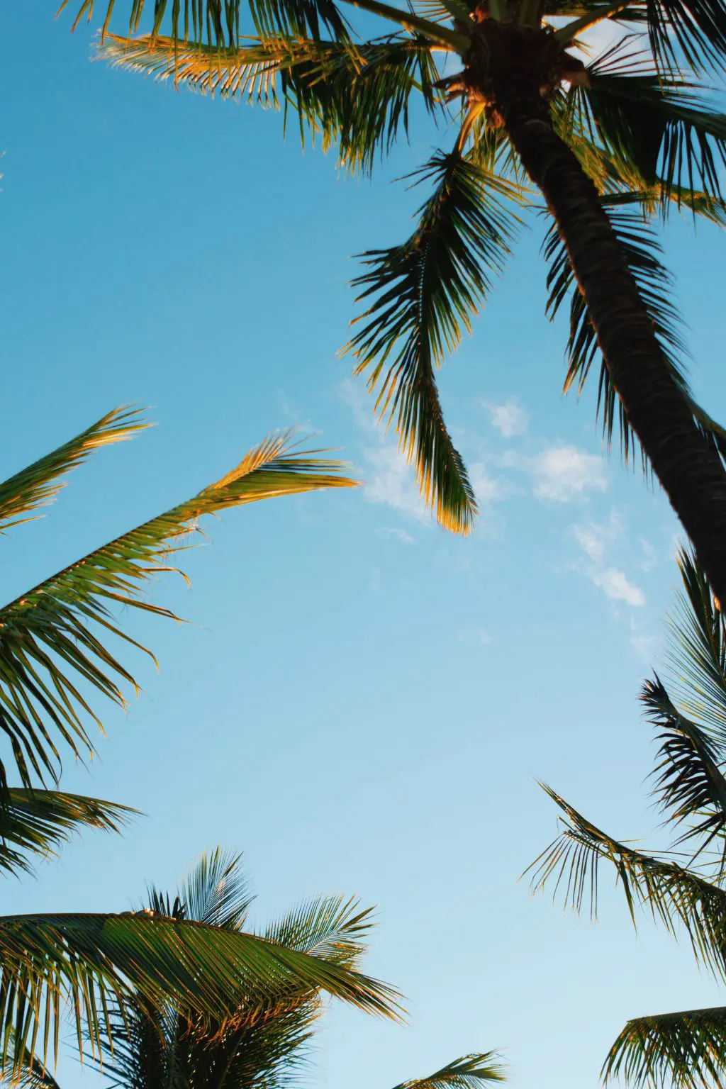 Camping on Hawaii