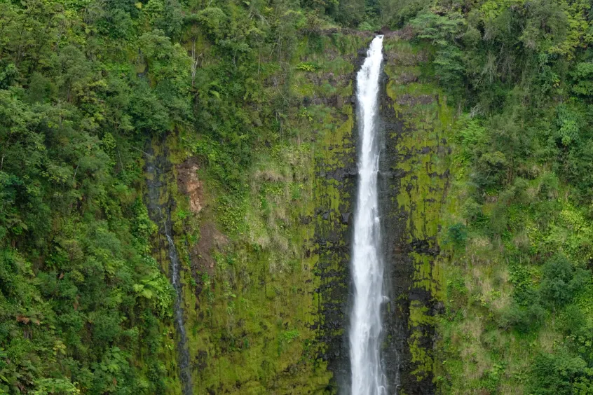Hawaii's Best Hiking Trails