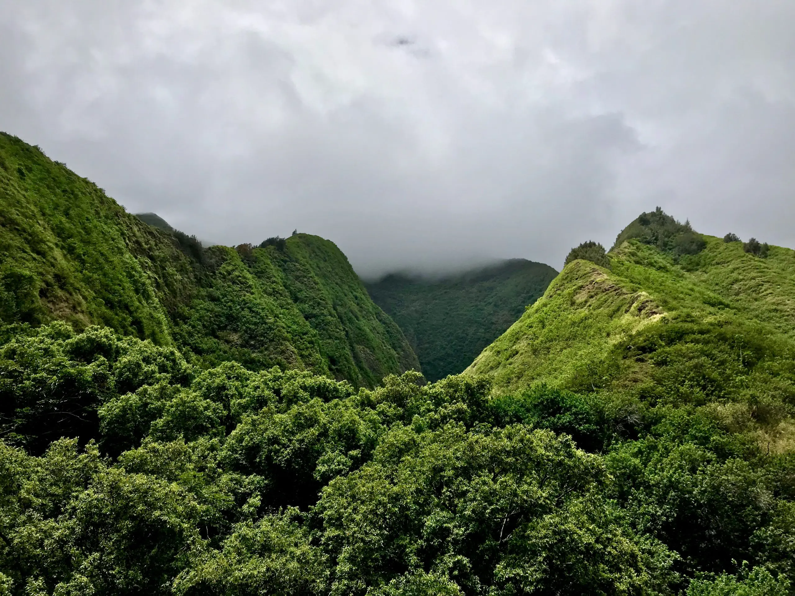 Iao Valley State Park's Cultural Significance