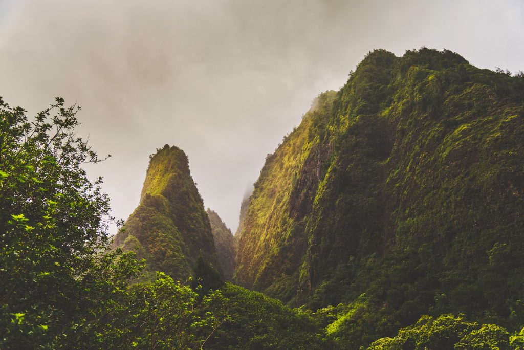 Iao Valley State Park