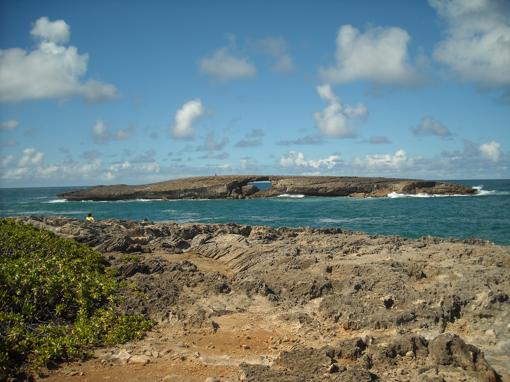 Waʻahila Ridge Trail