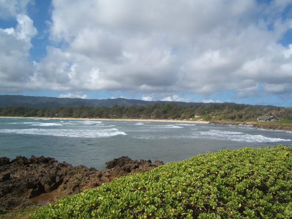 Waʻahila Ridge Trail