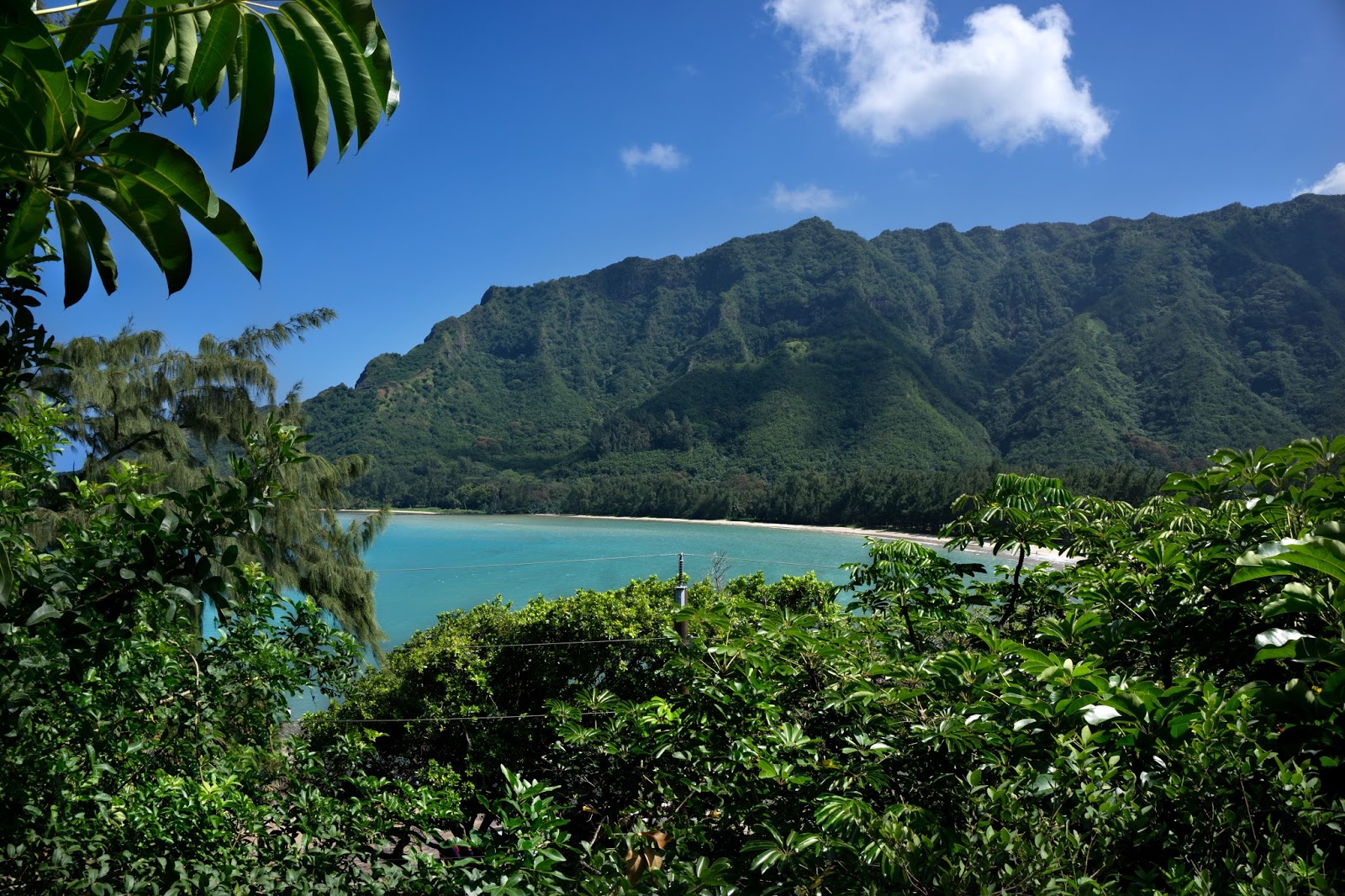 Waʻahila Ridge Trail