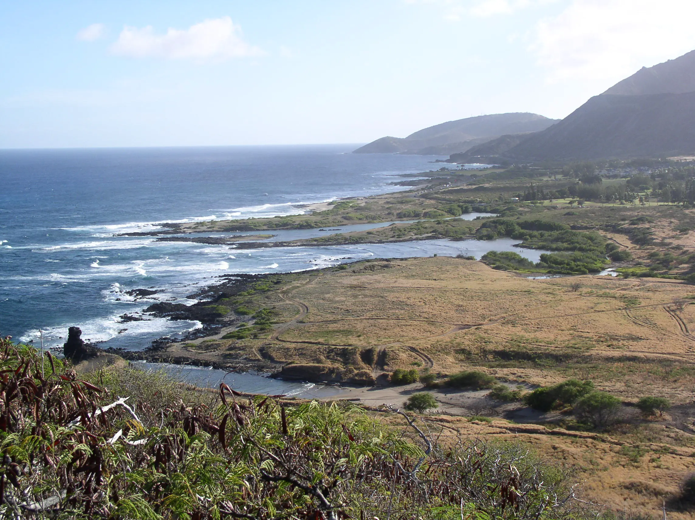 Waʻahila Ridge Trail
